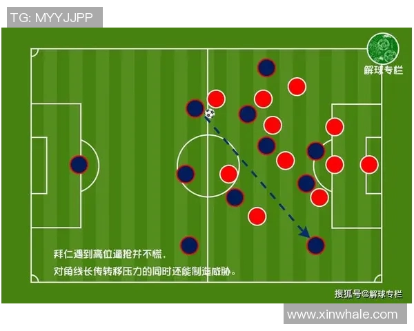 深圳排球队与杭州排球队赛后复盘分析团队配合与战术执行的关键因素