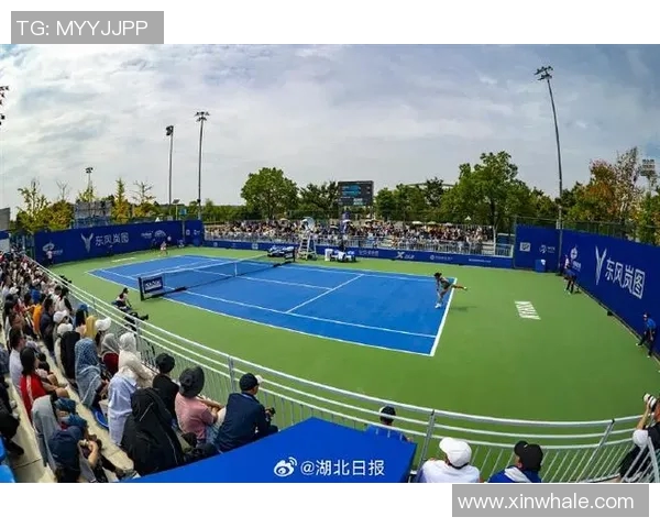 武汉网球队的节奏与风采聚焦网球运动的未来发展与挑战