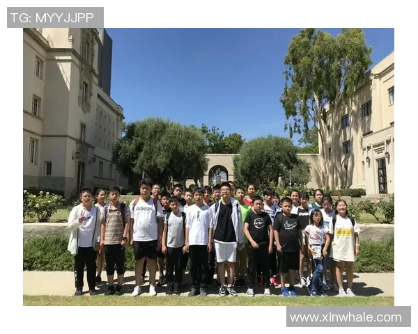 美国足球明星的辉煌历程与场上风采全景素描