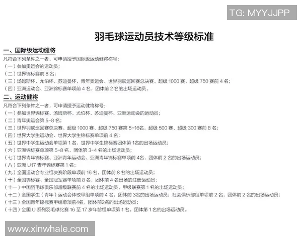 上海羽毛球队总决赛技术分析与表现评估全面解读