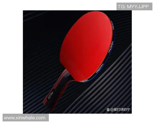乒乓球装备选购指南及训练器材推荐助你提升球技