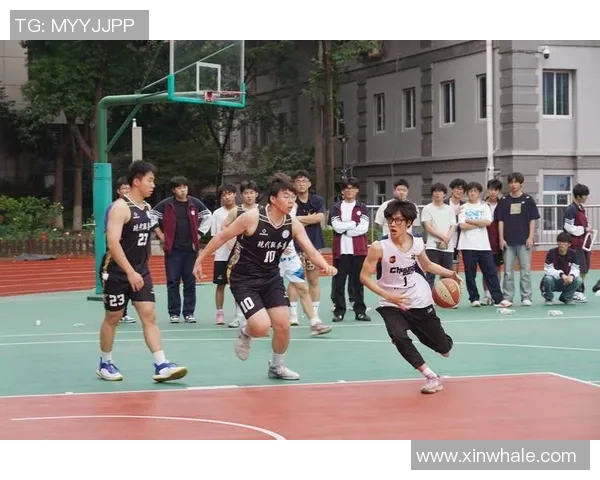 南京篮球队在全国锦标赛中的个人能力分析与表现点评