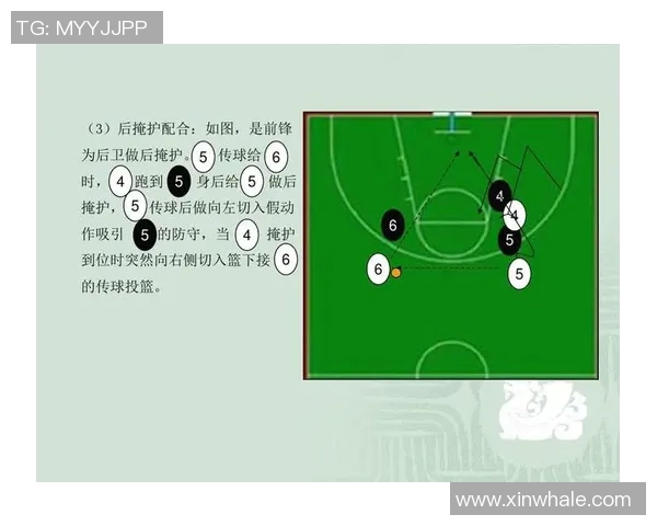 广州篮球队精英赛战术解析与表现评估全方位解读