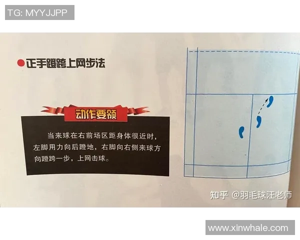 广州羽毛球队技术表现深度分析与数据解读探讨 广州羽毛球队技术表现深度分析与数据解读探讨