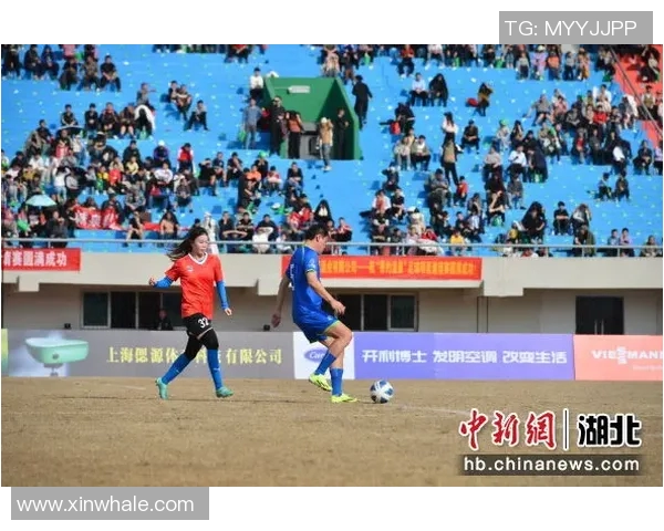 绿茵场上的舞者足球明星们的激情与荣耀交响曲 绿茵场上的舞者足球明星们的激情与荣耀交响曲