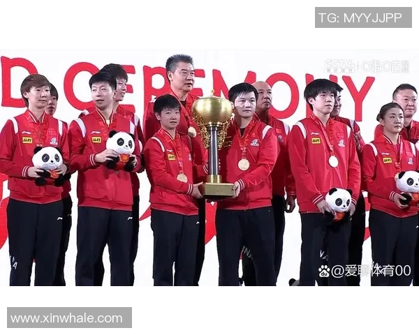 南京乒乓球队在世界锦标赛中的技术表现与战术分析综述