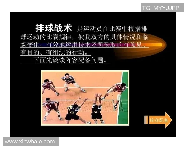 成都排球队意识对比深度解析与战术演变探讨