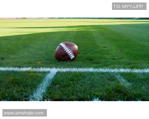 正能量足球：传递激情与团结的力量，激励年轻人追逐梦想与希望