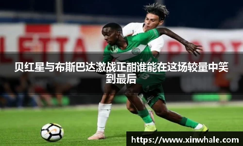 贝红星与布斯巴达激战正酣谁能在这场较量中笑到最后